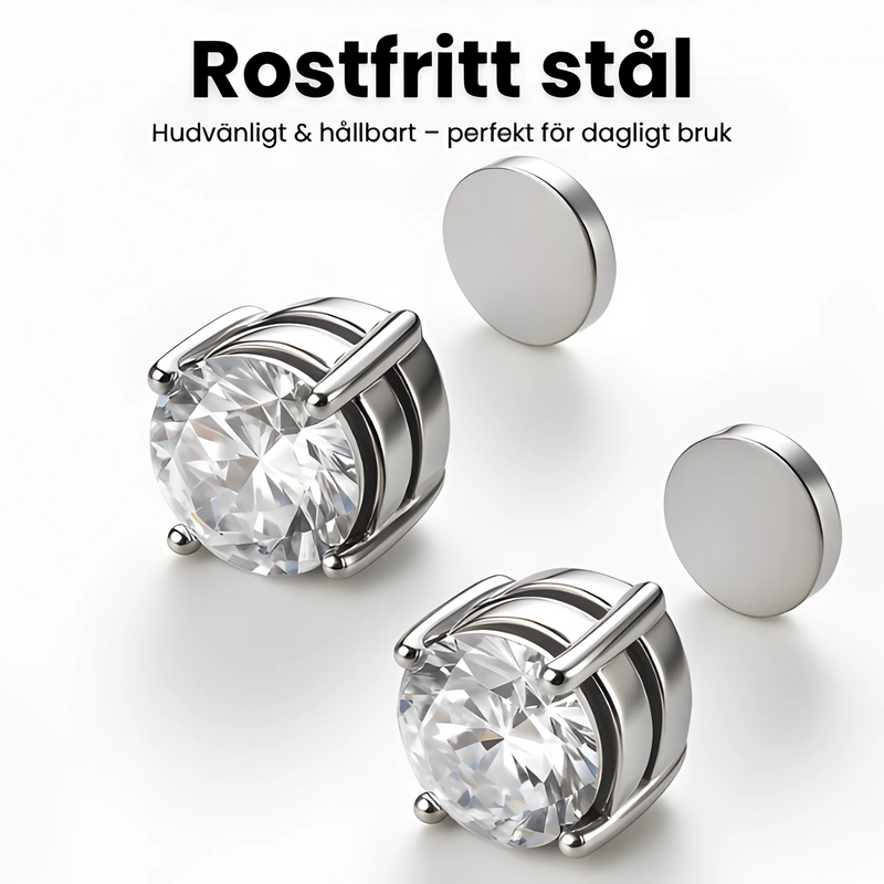 Magnetiska Örhängen